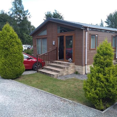 Squirrel Lodge Clearwell Exteriör bild